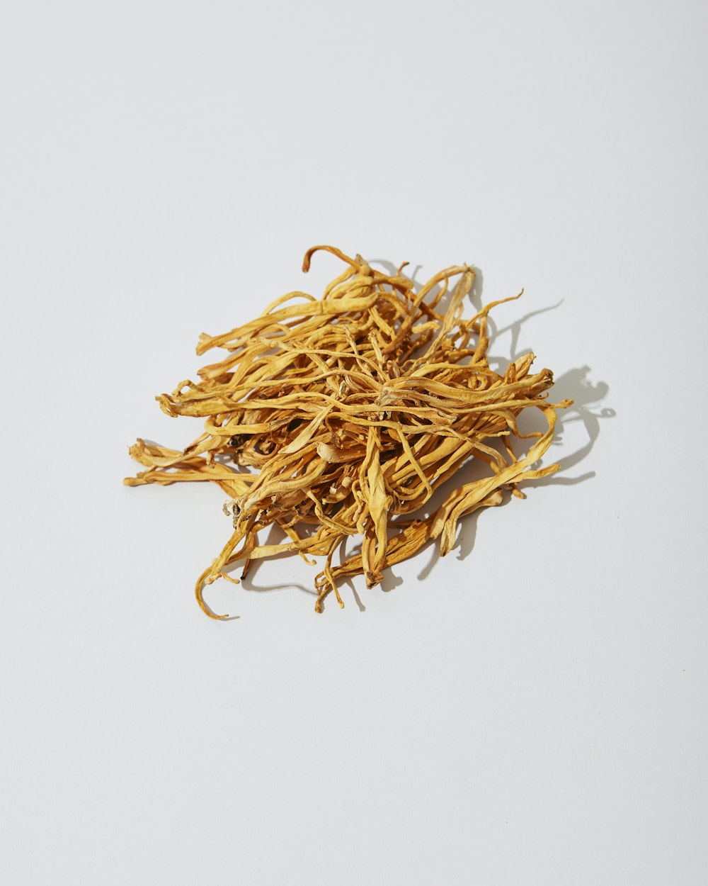 Cordyceps militaris séché