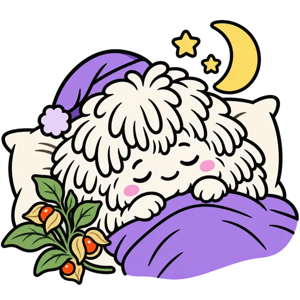 Mani dort sous une couverture violette, bonnet de nuit sur la crinière